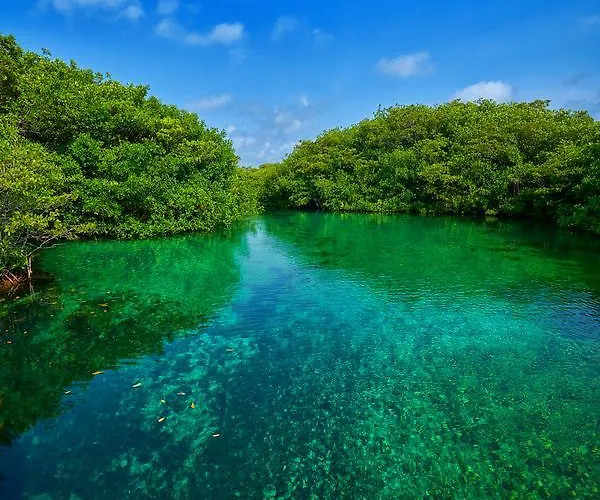 Casa Cenote *