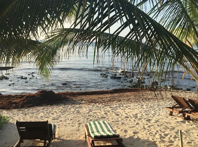 Acomodação com café da manhã  Casa Cenote *